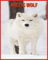 Arctic Wolf