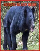 Asiatic Black Bear