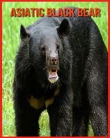 Asiatic Black Bear