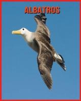 Albatros