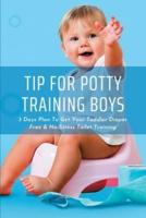 Tip For Potty Training Boys