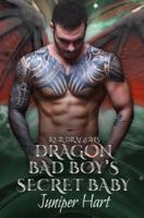 Dragon Bad Boy's Secret Baby