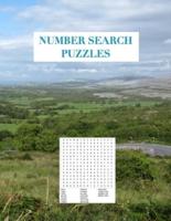 Number Search Puzzles