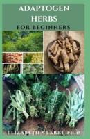 Adaptogen Herbs for Beginners
