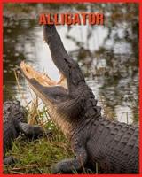 Alligator