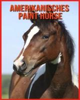 Amerikanisches Paint Horse