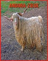 Angora-Ziege