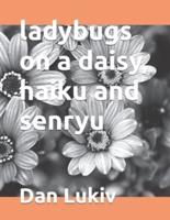 ladybugs on a daisy, haiku and senryu