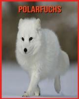 Polarfuchs