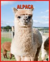 Alpaca