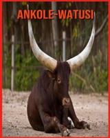 Ankole-Watusi