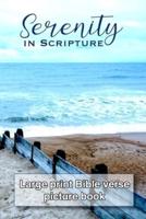 Serenity in Scripture: Large print bible verse picture book for seniors, Dementia, Parkinson's or Alzheimer's patients or those with visual impairment or in rehabilitation, supporting their walk with God  - View over the North sea cover image