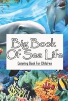 Big Book Of Sea Life