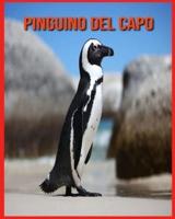 Pinguino del Capo:  Pinguino del Capo Affascinanti Fatti per i bambini con immagini mozzafiato!