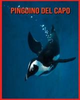Pinguino del Capo: Libro per bambini con fatti divertenti e foto incredibili
