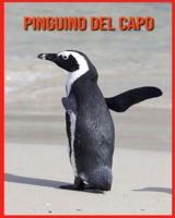 Pinguino del Capo: Immagini incredibili e fatti sui Pinguino del Capo