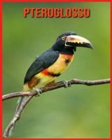 Pteroglosso: Immagini incredibili e fatti sui Pteroglosso