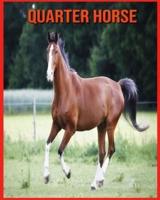 Quarter Horse: Immagini incredibili e fatti sui Quarter Horse