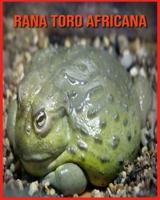 Rana Toro Africana: Immagini incredibili e fatti sui Rana Toro Africana