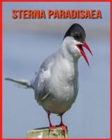 Sterna Paradisaea:  Immagini incredibili e fatti sui Sterna Paradisaea