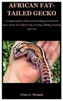 African Fat-Tailed Gecko: A Comprehensive Guide On Everything You Need To Know About Fat Tailed Gecko, Feeding, Mating, Housing And Care