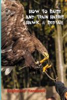 How To Raise And Train Harris Hawk & Redtail