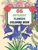 65 Different Flowers Coloring Book: Flowers Coloring book for kids and adults / Coloring book for all ages / Flowers coloring book for toddlers & seniors / 65 most beautiful Flowers, Learn the names by Coloring / Flowers Coloring book for girls and boys