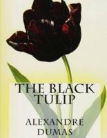 The Black Tulip Illustrated