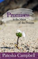 Promises in the Midst of the Process