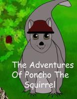 The Adventures of Poncho the Squirrel!!