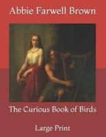 The Curious Book of Birds: Large Print
