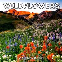 Wildflowers Calendar 2021: Cute Gift Idea For Wild Flowers Lovers Men And Women