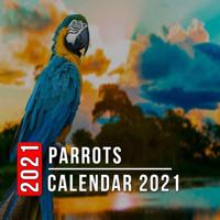 Parrots Calendar 2021: 12 Month Mini Calendar from Jan 2021 to Dec 2021, Cute Gift Idea   Pictures in Every Month