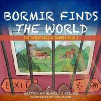 Bormir Finds THE World