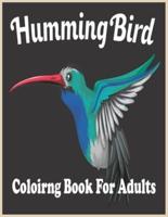 HummingBird Coloring Book For Adults