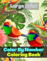 Large Print Color By Number Coloring Book