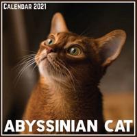 Abyssinian Cat Calendar 2021