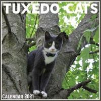 Tuxedo Cats Calendar 2021