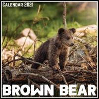 Brown Bear Calendar 2021