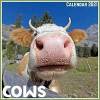Cows Calendar 2021