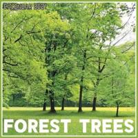 Forest Trees Calendar 2021