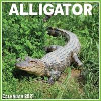 Alligator Calendar 2021