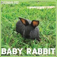 Baby Rabbit Calendar 2021