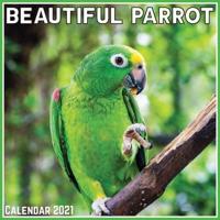 Beautiful Parrot Calendar 2021