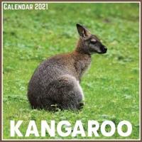 Kangaroo Calendar 2021