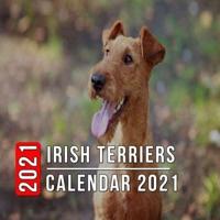 Irish Terriers Calendar 2021: 12-month mini Calendar from Jan 2021 to Dec 2021, Cute Gift Idea For Irish Terriers Lovers Or Owners Men And Women   Pictures in Every Month