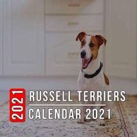 Russell Terriers Calendar 2021: 12-month mini Calendar from Jan 2021 to Dec 2021, Cute Gift Idea For Russell Terriers Lovers Or Owners Men And Women   Pictures in Every Month