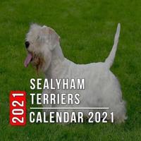 Sealyham Terriers Calendar 2021: 12-month mini Calendar from Jan 2021 to Dec 2021, Cute Gift Idea For Sealyham Terriers Lovers Or Owners Men And Women   Pictures in Every Month