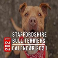 Staffordshire Bull Terriers Calendar 2021: 12-month mini Calendar from Jan 2021 to Dec 2021, Cute Gift Idea For Staffordshire Bull Terriers Lovers Or Owners Men And Women   Pictures in Every Month