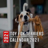 Toy Fox Terriers Calendar 2021: 12-month mini Calendar from Jan 2021 to Dec 2021, Cute Gift Idea For Toy Fox Terriers Lovers Or Owners Men And Women   Pictures in Every Month